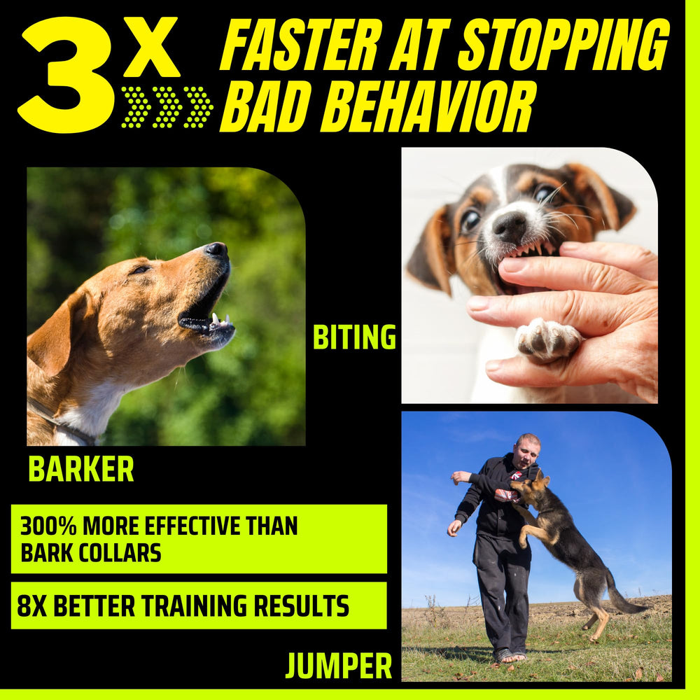 BarxBuddy 2nd Gen rechargeable battery image emphasizing long life for training sessions