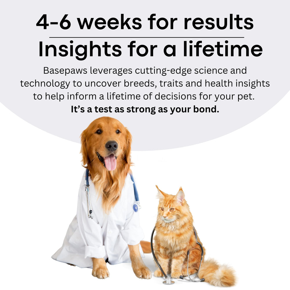 Basepaws customer success story image conveying care planning confidence