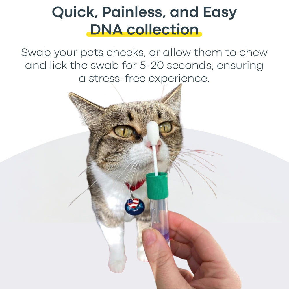 Basepaws lab analysis highlights comprehensive data processing