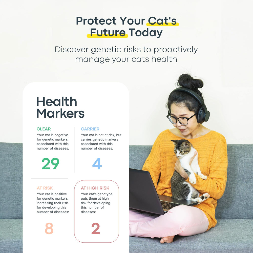 Basepaws online report interface with breed, health and dental insights