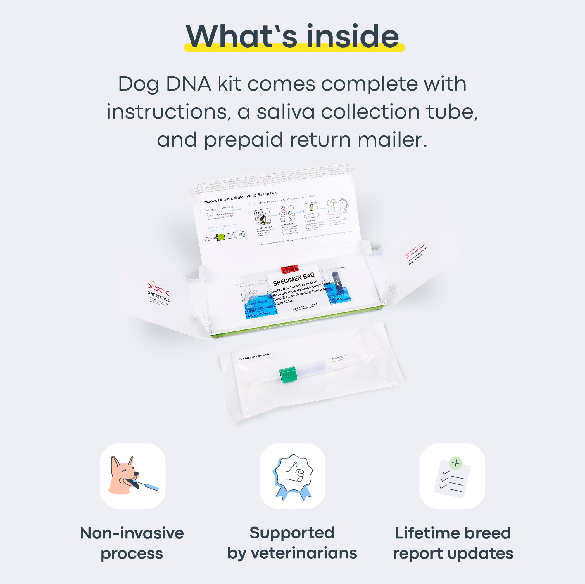 Basepaws active oral health report focuses on dental care needs