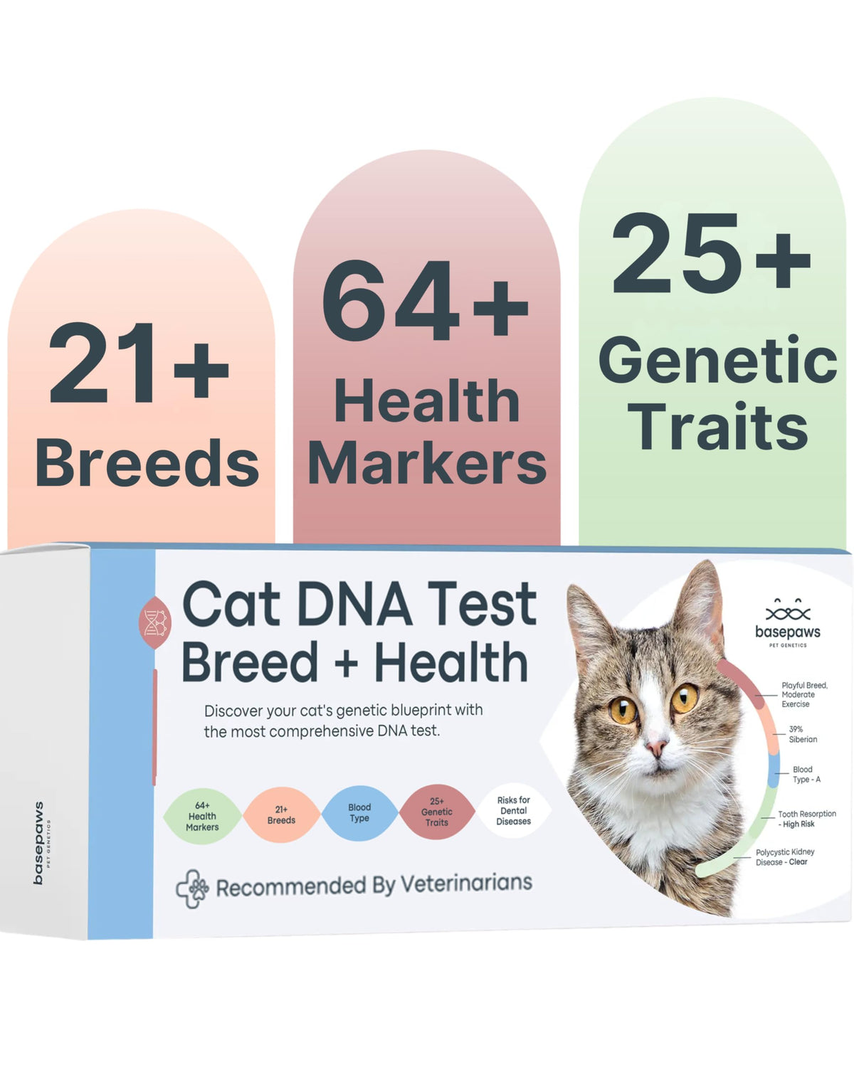 Basepaws cat DNA test kit packaging shows easy setup for quick sample collection