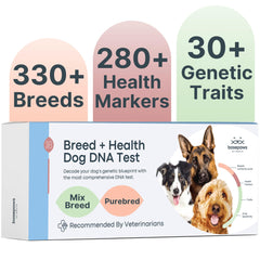 Basepaws dog DNA kit packaging front, showcasing easy at-home testing.