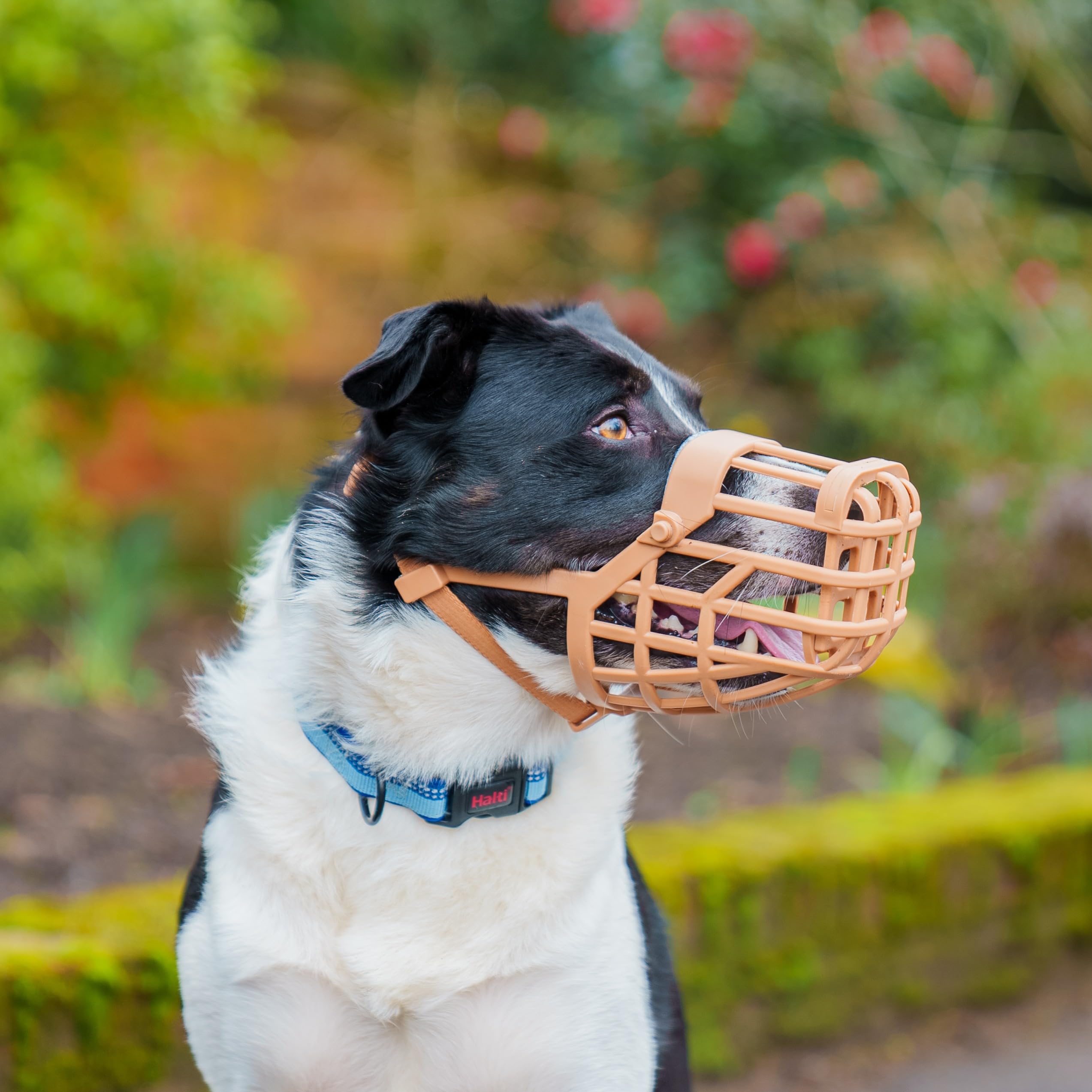 Baskerville Classic Basket Muzzle nose area close-up showing padded comfort for extended wear.