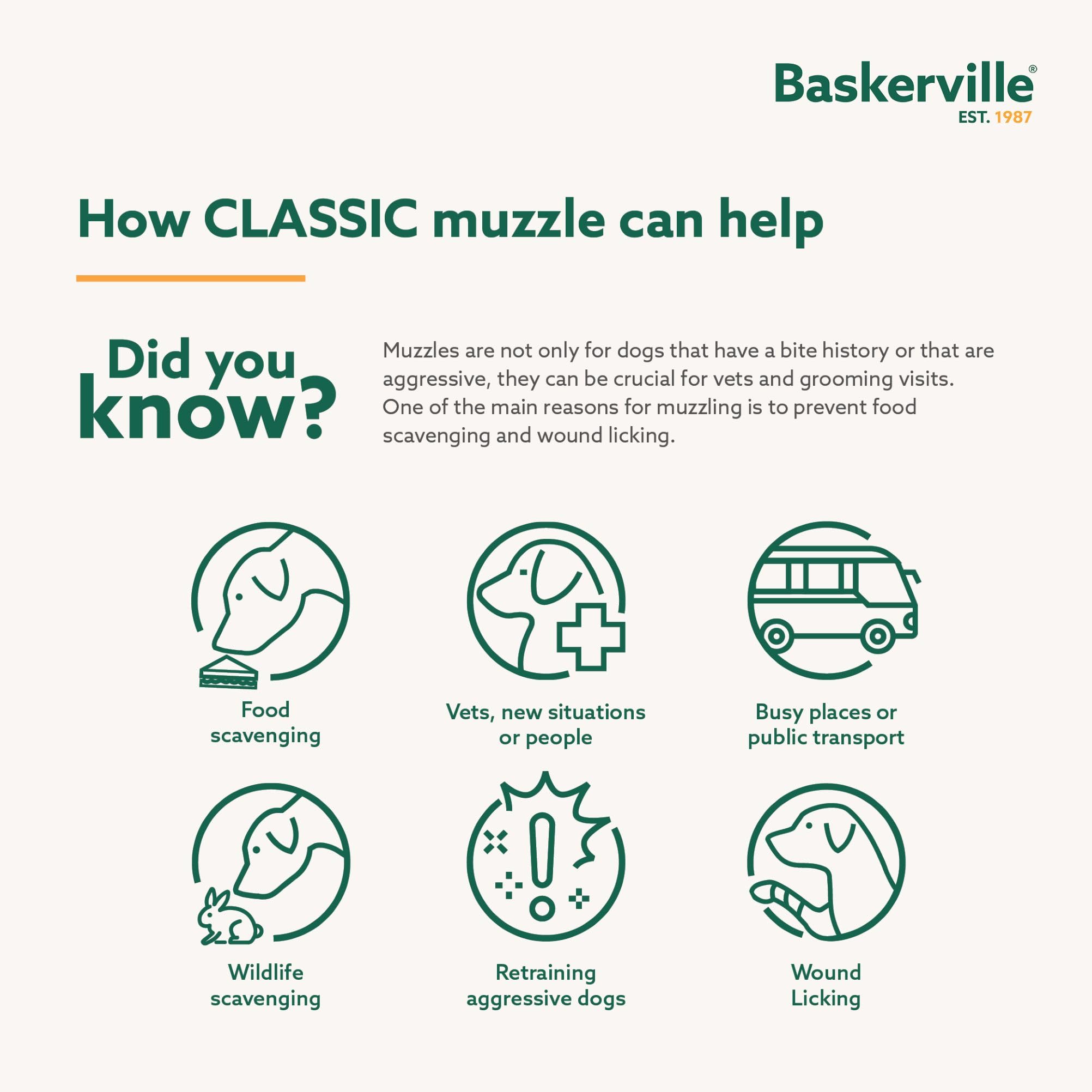 Guard insert prevents scavenging during a dog walk with Baskerville muzzle.
