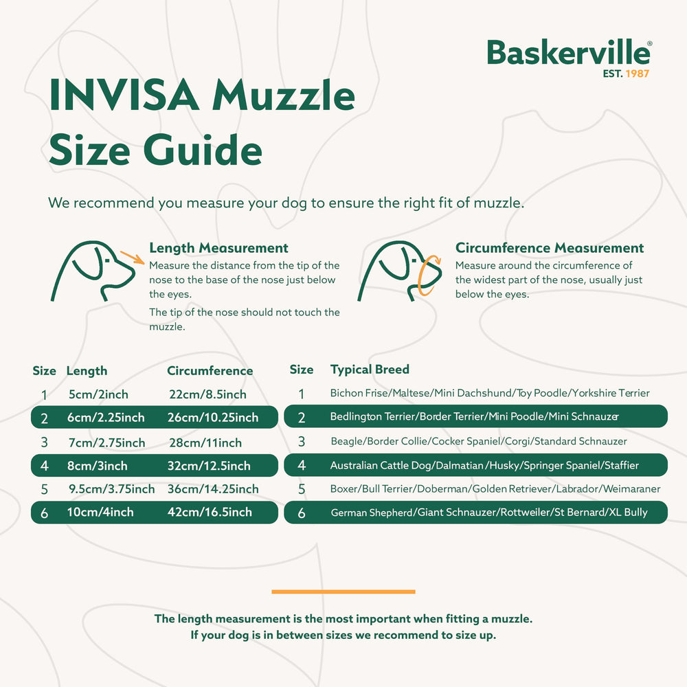 Baskerville INVISA muzzle allows panting and drinking during outings