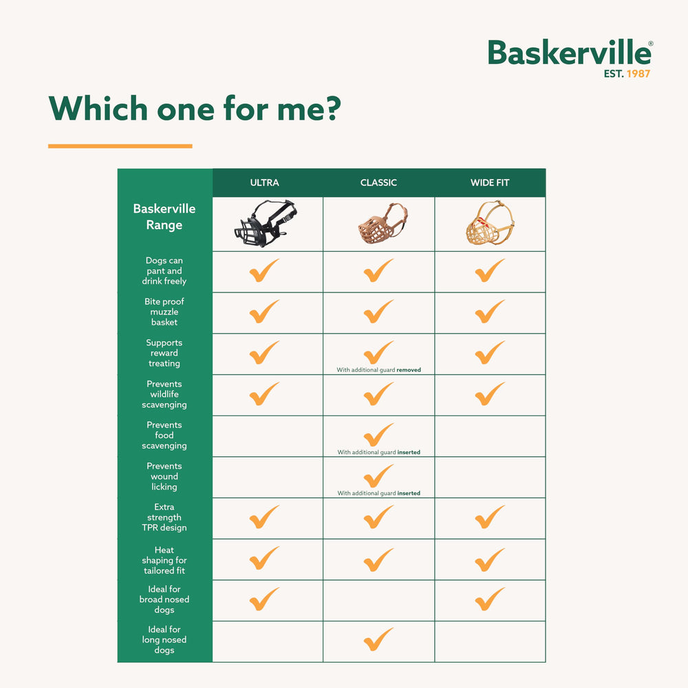 Baskerville Ultra Muzzle dog pant and drink capability supports comfort on walks.