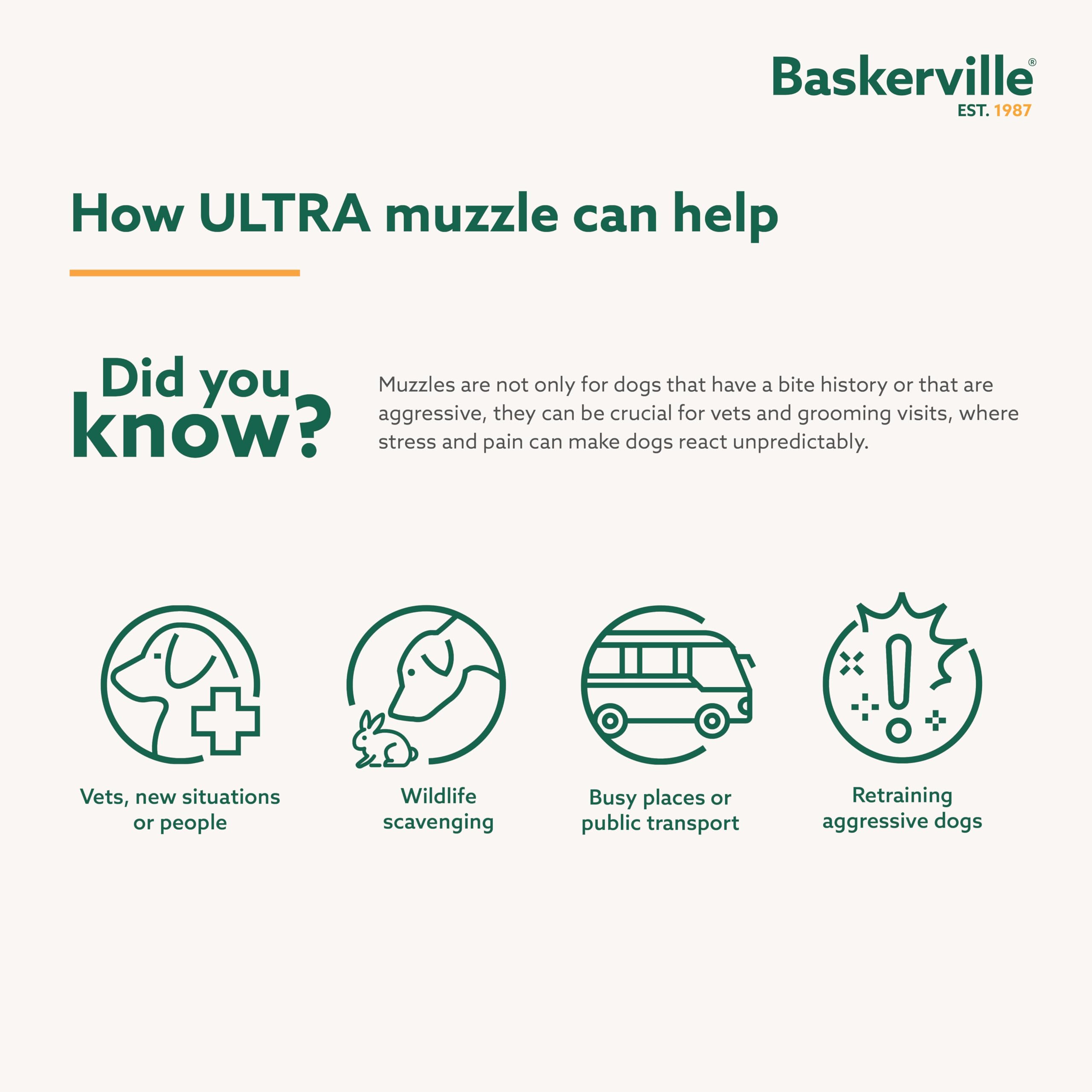 Baskerville Ultra Muzzle headstrap and clip providing added security during training.