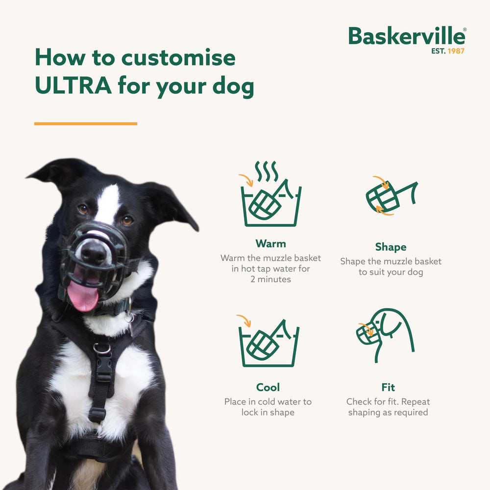 Baskerville Ultra Muzzle no-metal-on-face design reduces discomfort on the muzzle.