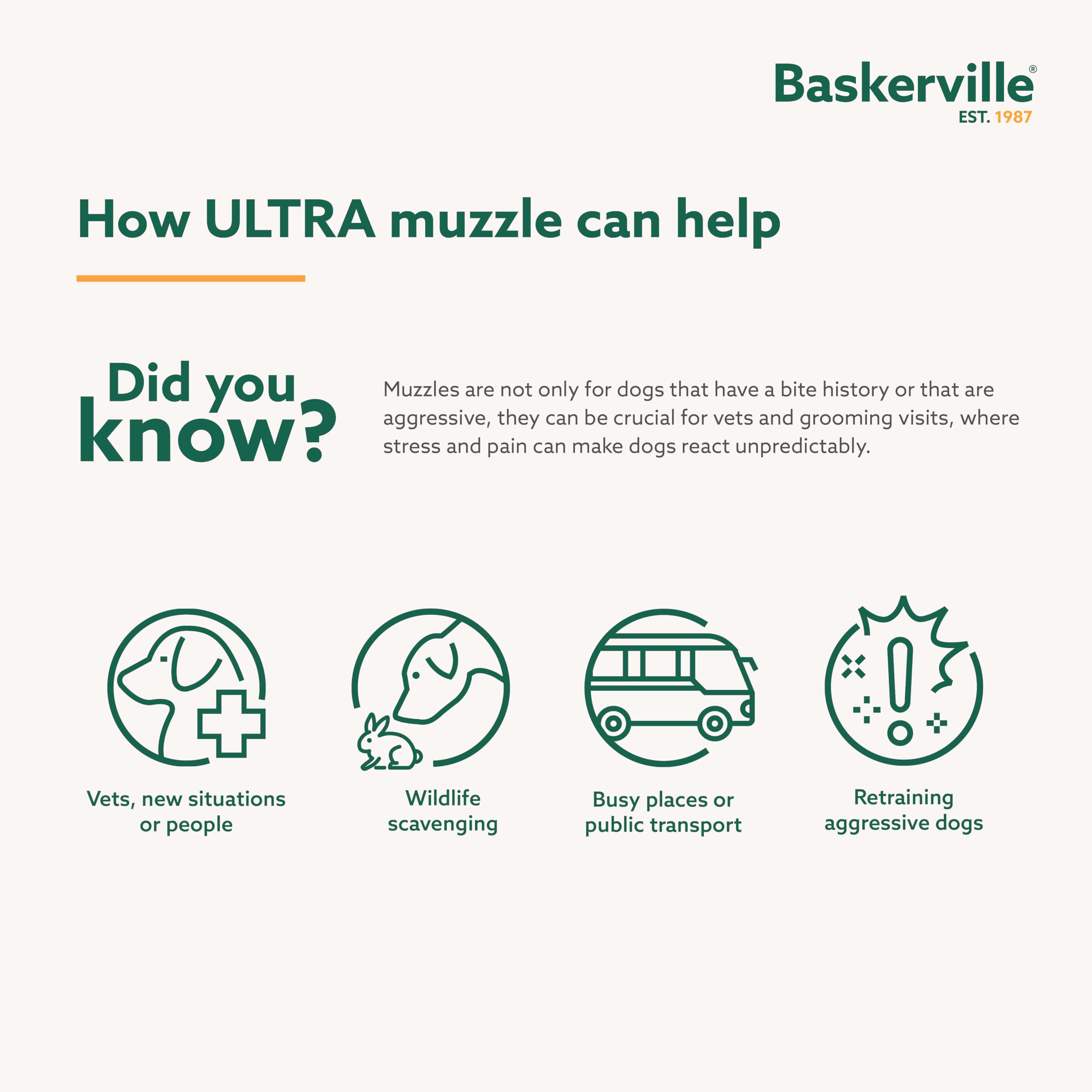 Baskerville Ultra Muzzle pant-and-drink allowance captured during a calm walk.