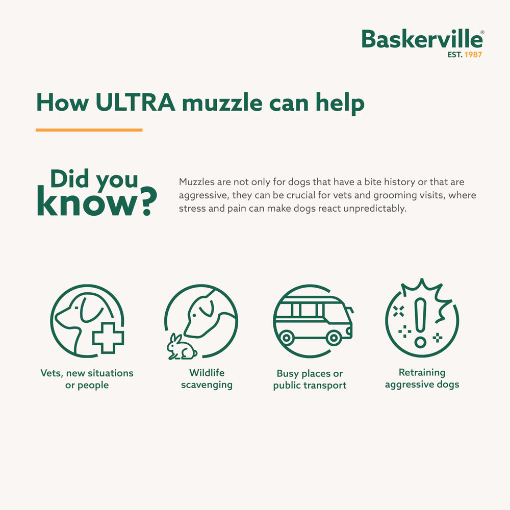 Baskerville Ultra Muzzle pant-and-drink allowance captured during a calm walk.