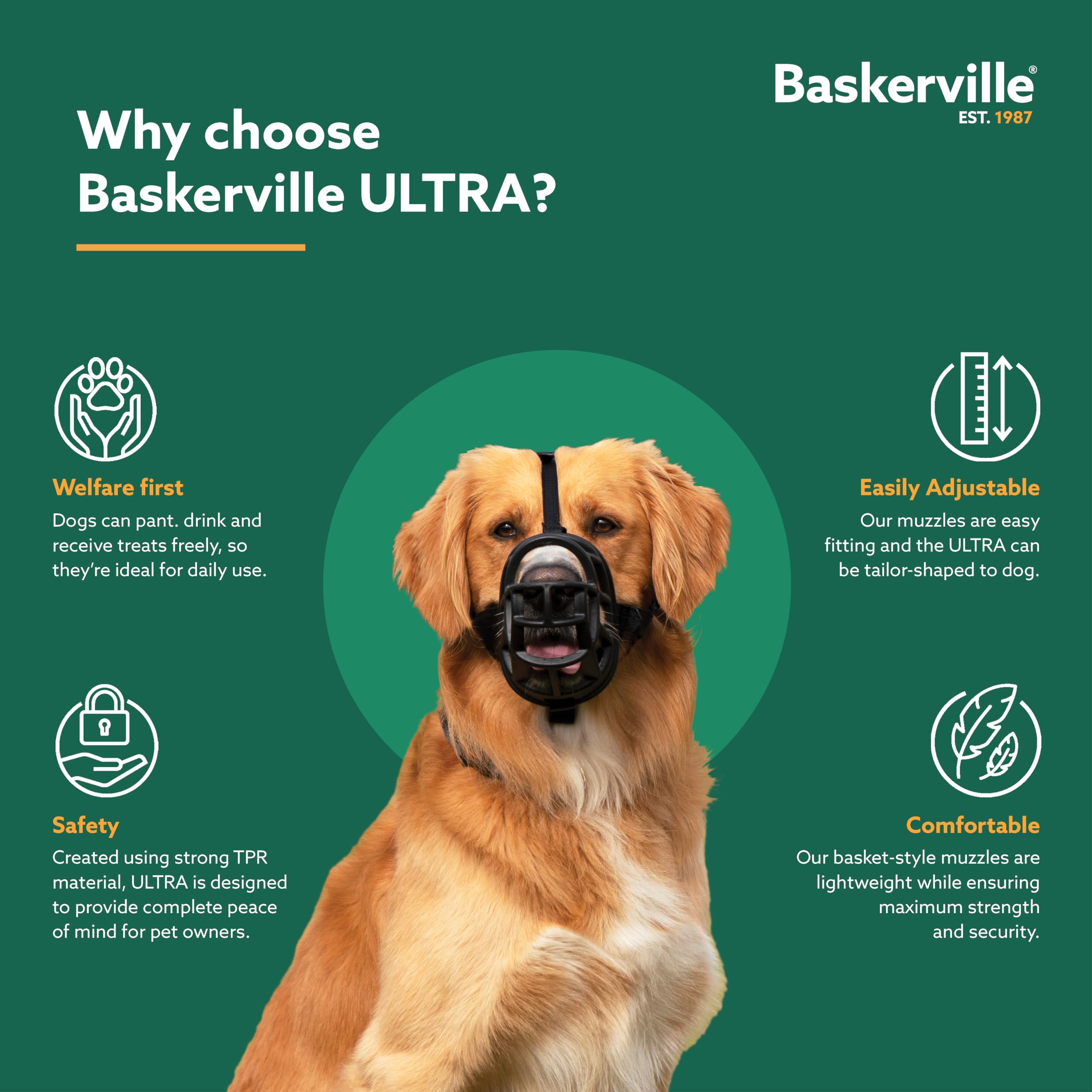 Reactive dog training scenario with Baskerville Ultra Muzzle during exposure to others