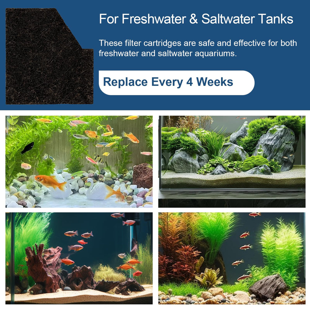 Batator EcoRenew six-pack cartridge offers continuous filtration.