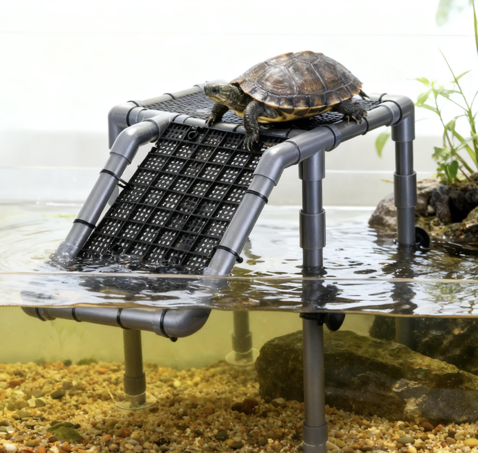 Battbeyle multi-use turtle platform offers resting and climbing space