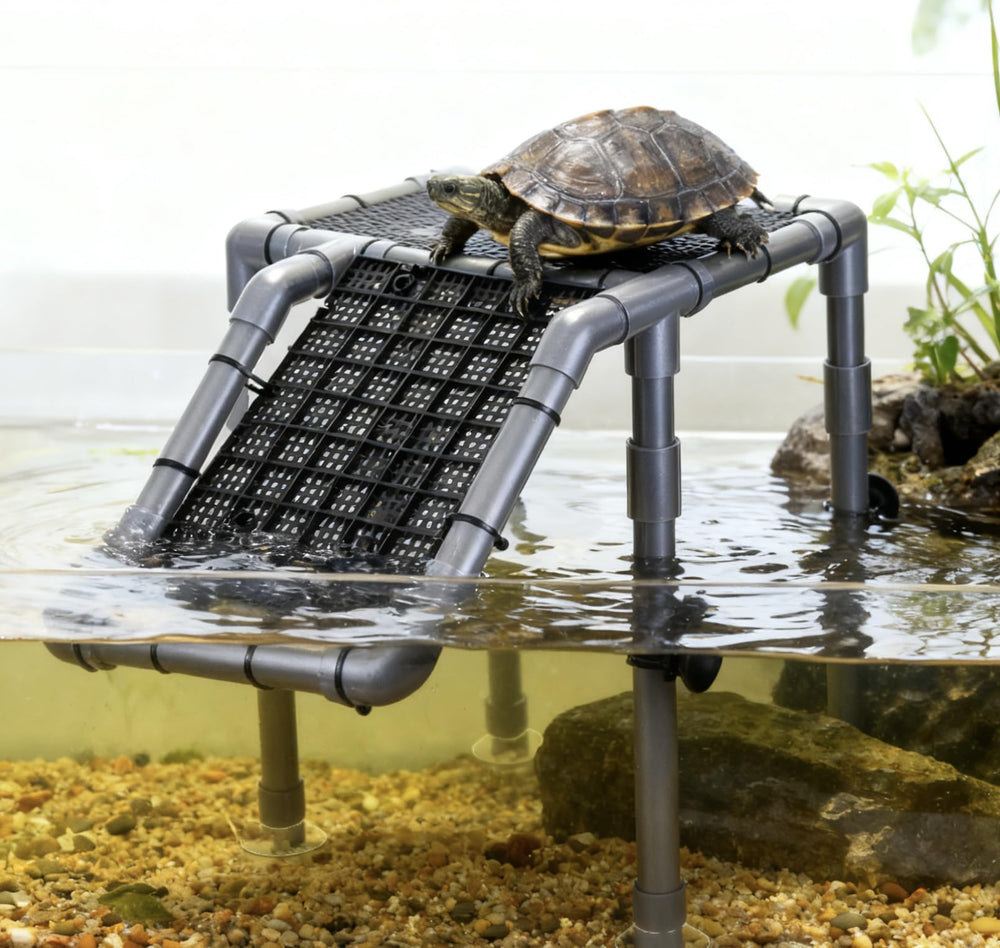 Battbeyle multi-use turtle platform offers resting and climbing space