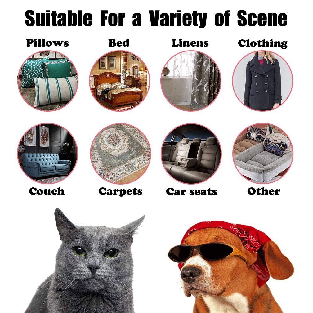 BattleHymn grey remover stone on car seat removing fur