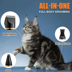 Bautrium cat clipping kit detail head for precise facial work.