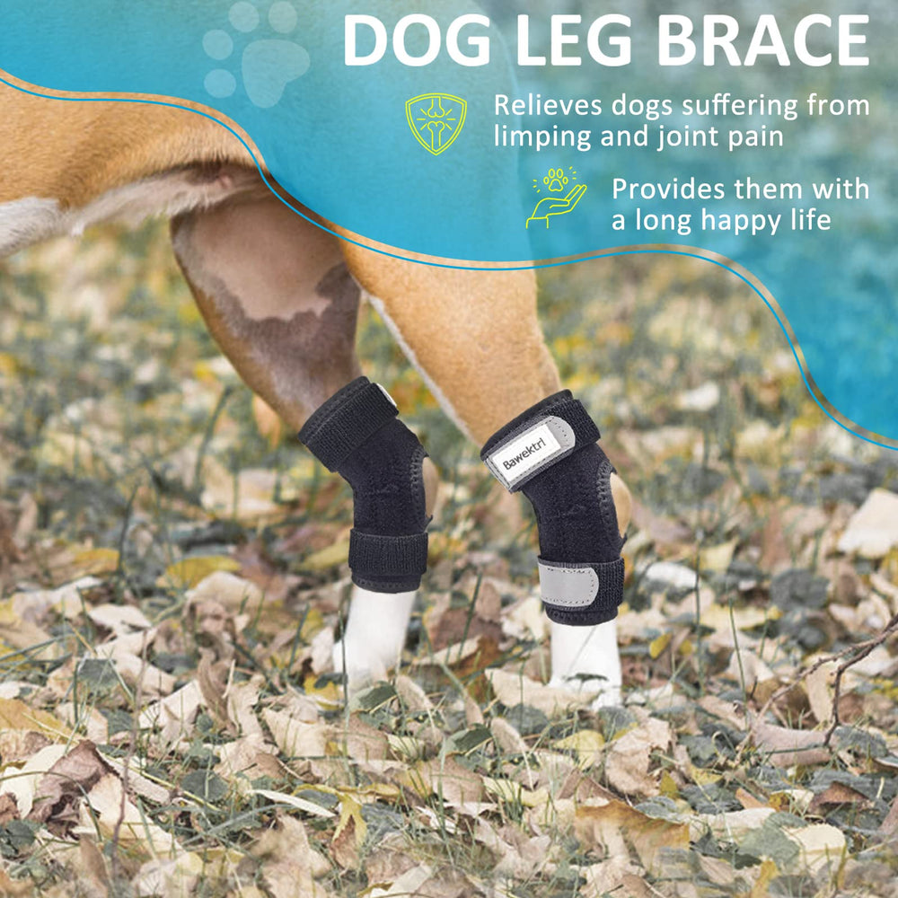 Bawektrl dog hock brace side fit demonstrating stabilizing hind leg