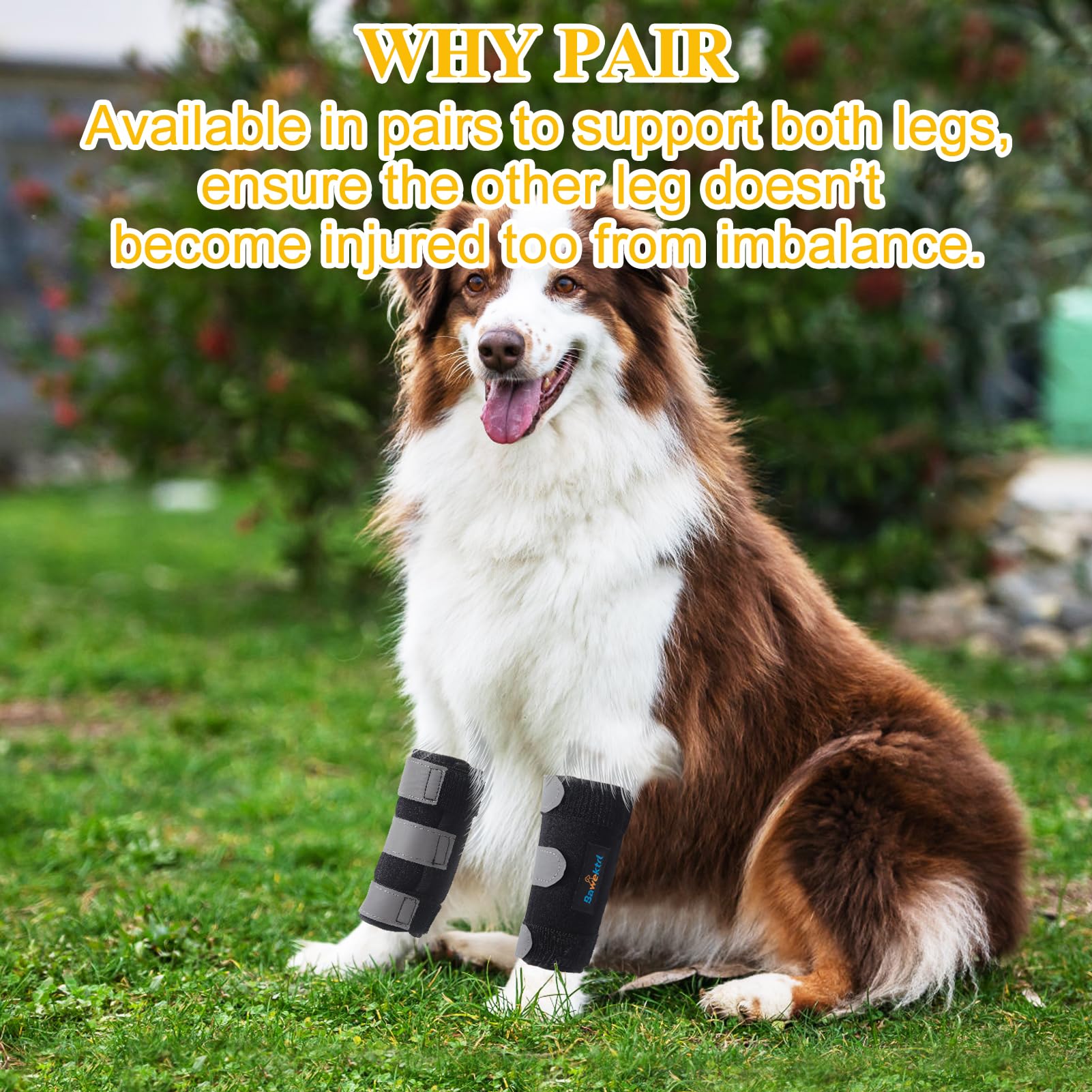 Bawektrl dog wrist brace in use for everyday activities and gentle movement