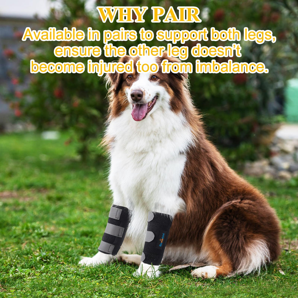 Bawektrl pair packaging enabling support for both front legs.