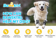 Bawektrl adjustable wraps secure a personalized fit for canine carpal support