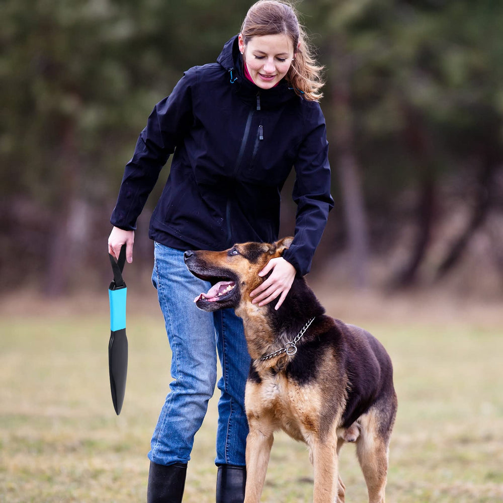 BBTO blue break stick shown in a training session with a dog.