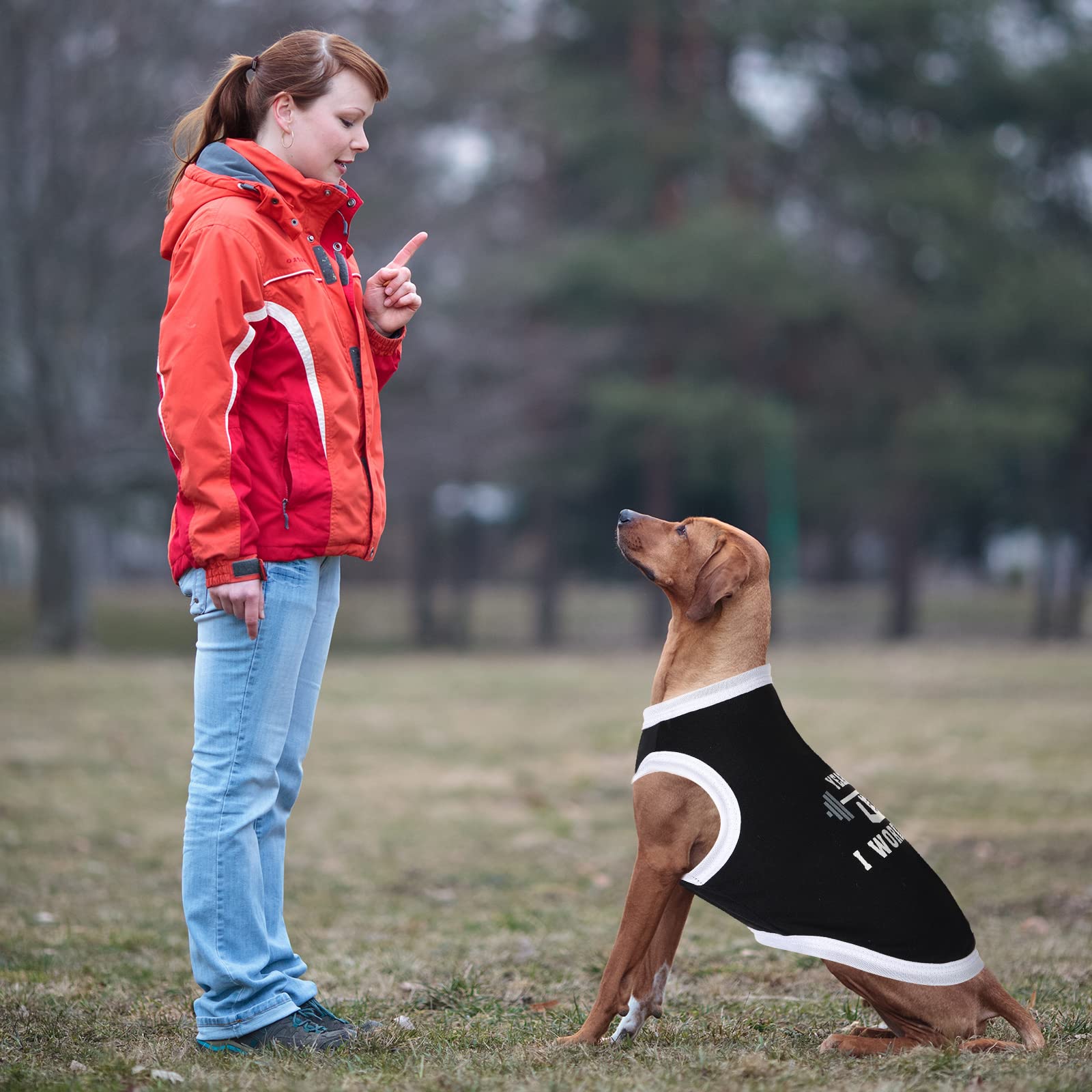 BBTO size XS XL options support many small breeds