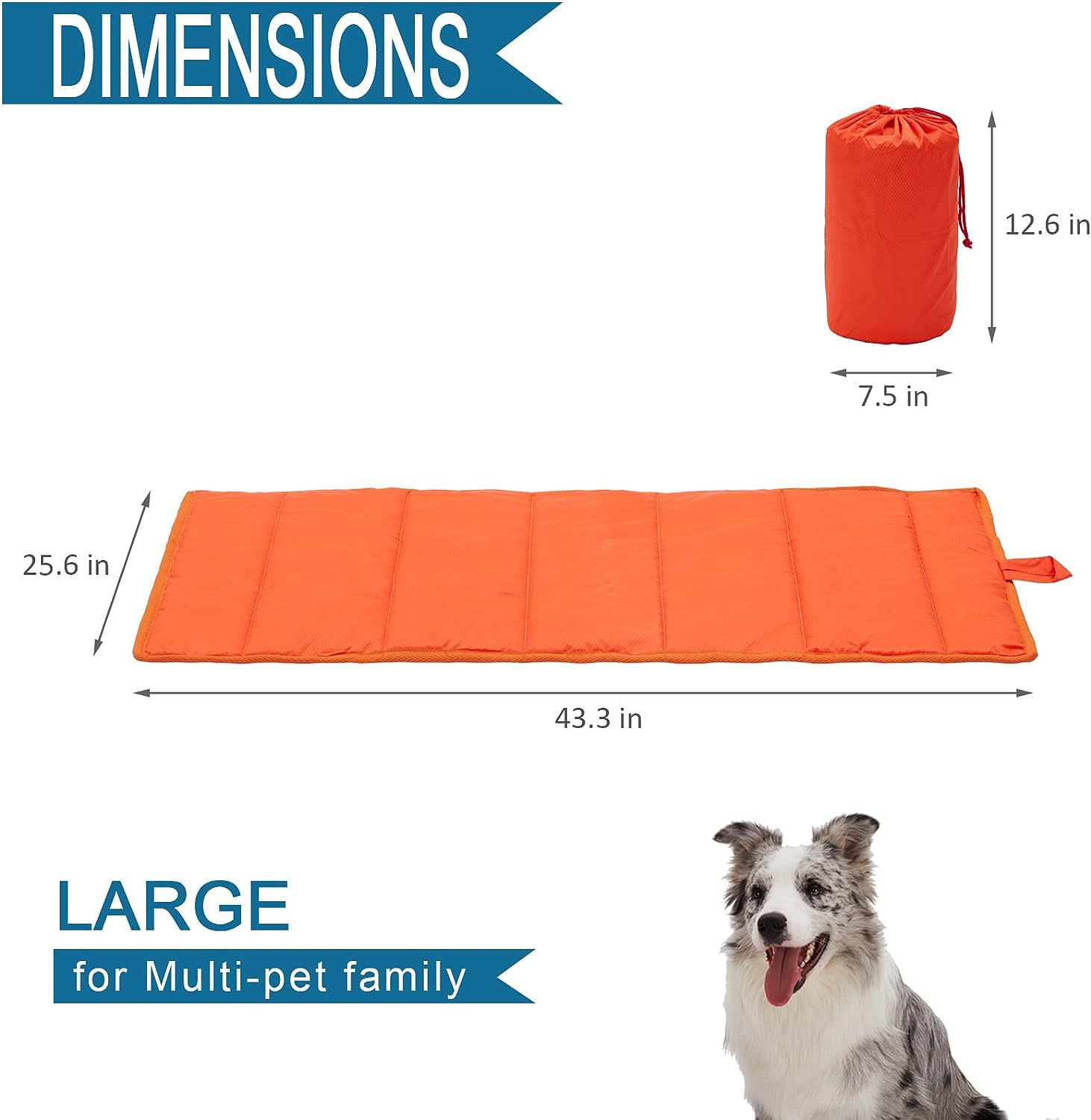 BDEUS Travel Dog Bed with carry handle for easy transport