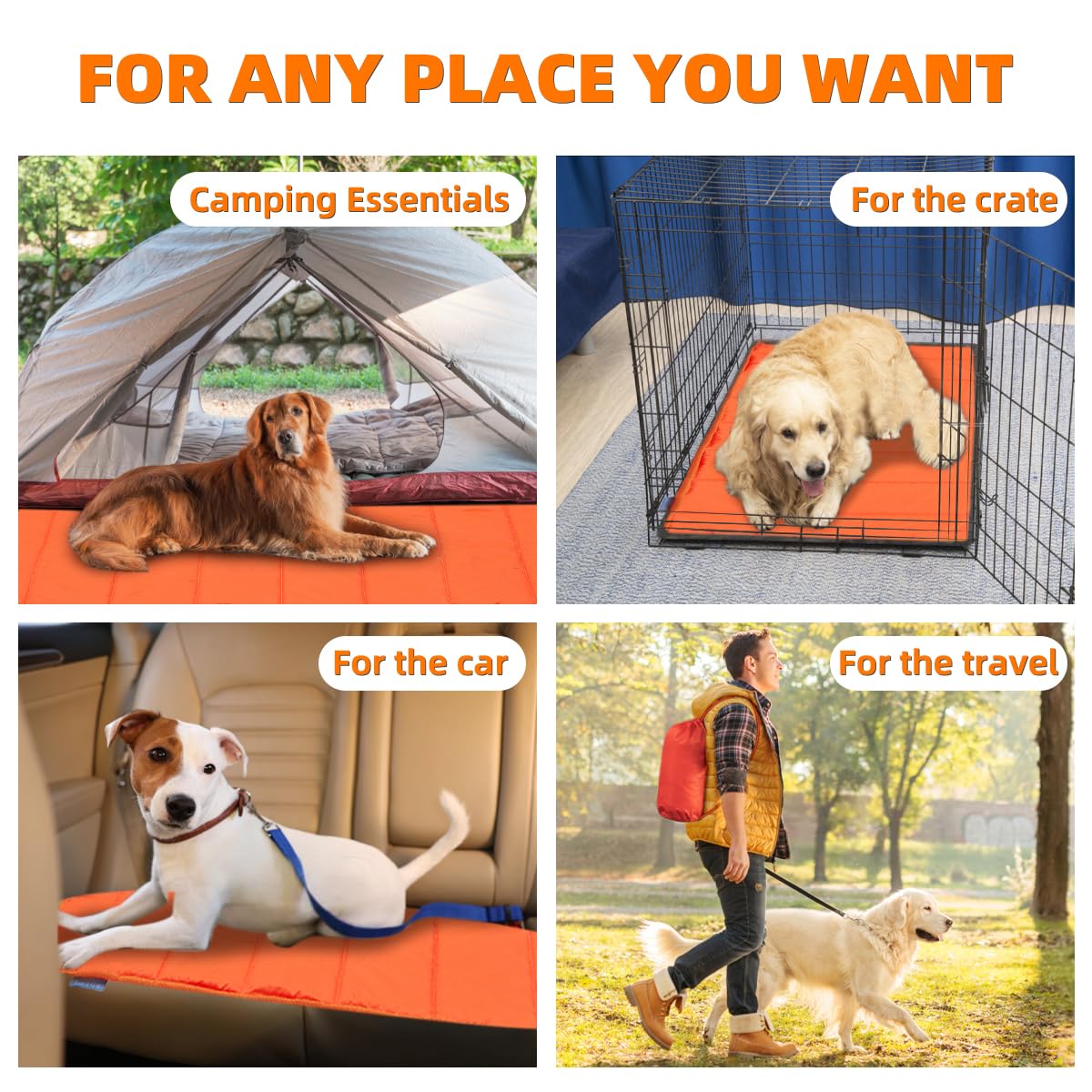Folded BDEUS Travel Dog Bed showing compact packing for travel