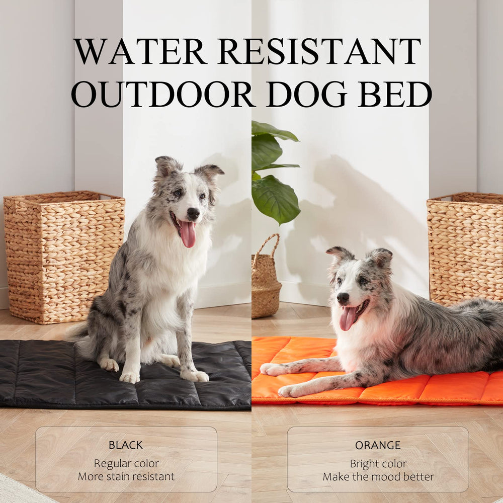 Bright orange BDEUS bed enhances visibility and style outdoors