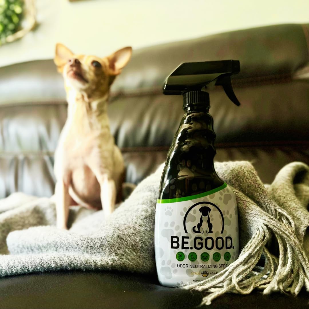 BE GOOD spray-on-fabric image shows fresh citrus scent for odor control