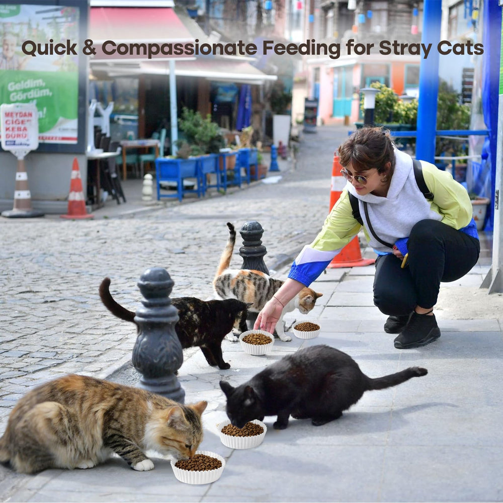 Outdoor park feeding with BeaAiwa liners.