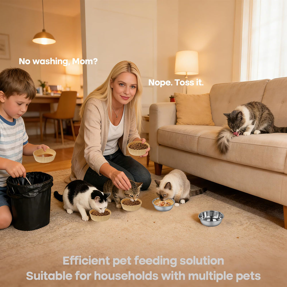 BeaAiwa shelter feeding station with liners streamlines replenishment and disposal.