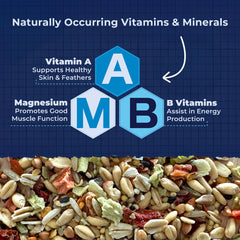 Beakology Wild Wellness parakeet food — balanced grains and seeds in a single mix