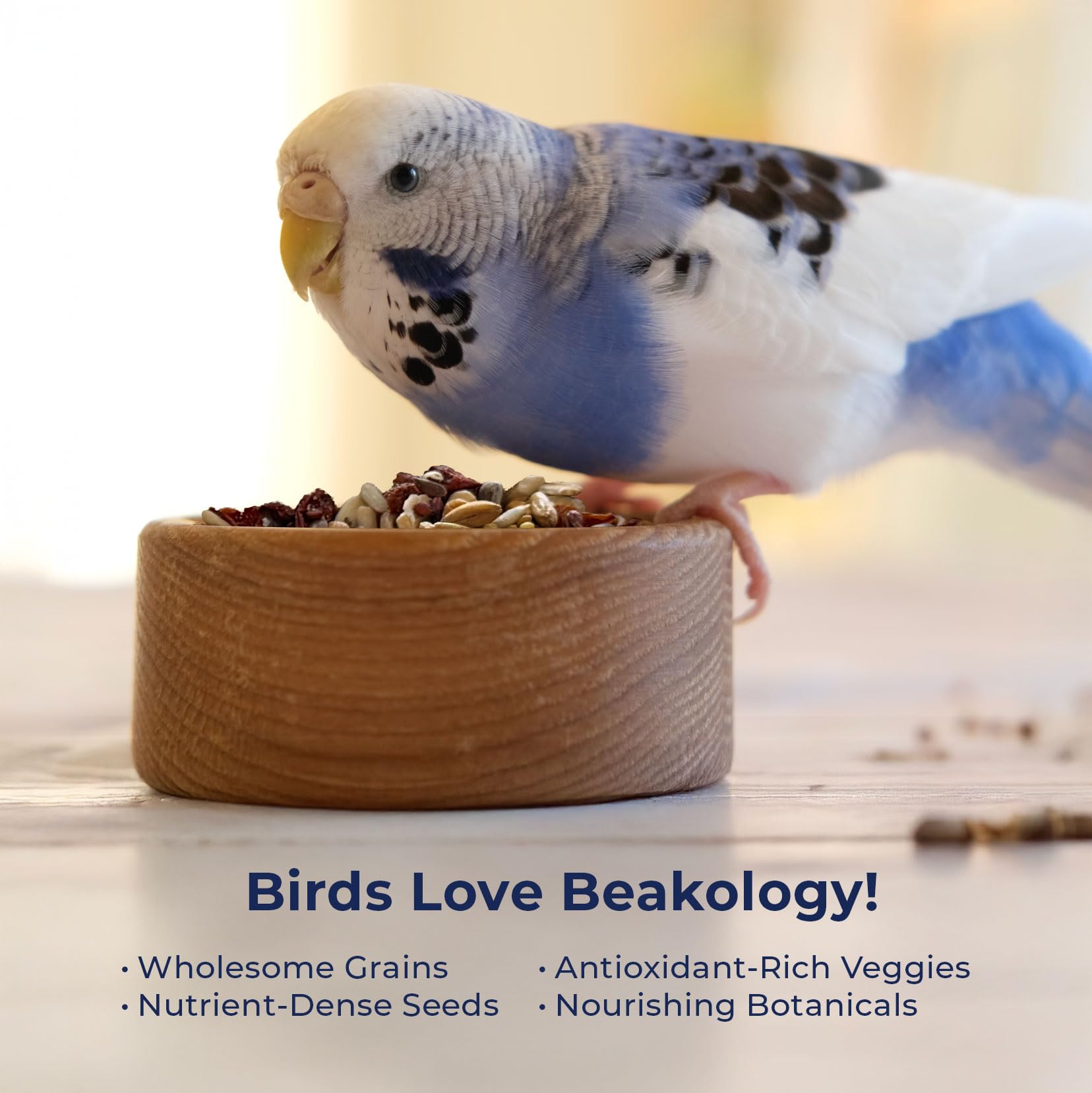 Beakology Wild Wellness parakeet food — non-GMO labeling for clean, simple ingredients