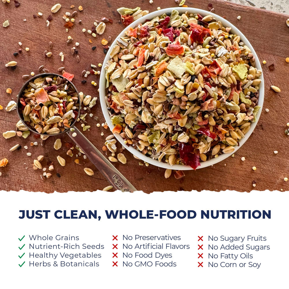 Beakology Wild Wellness parakeet food — close-up of a parakeet enjoying daily meal