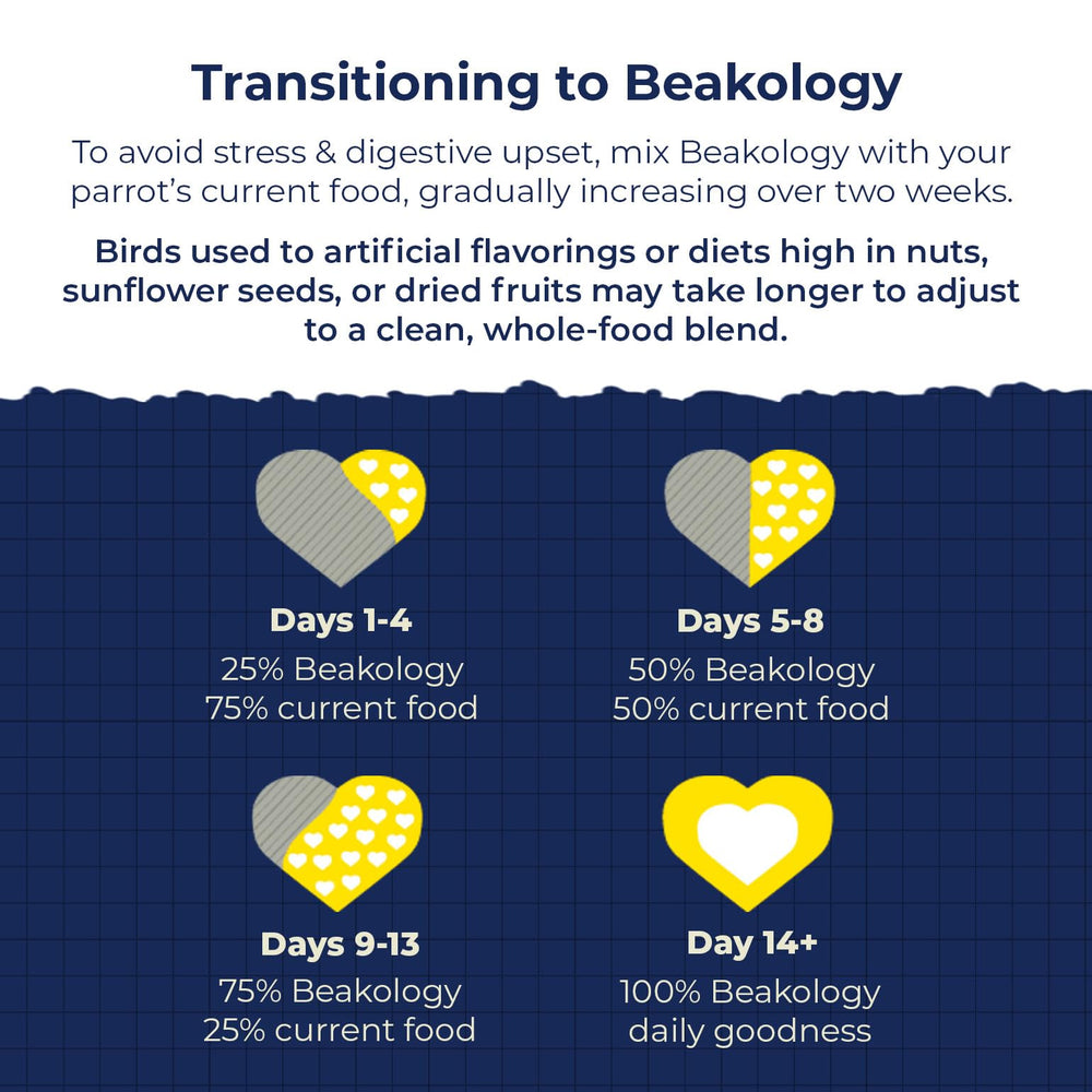 Beakology Wild Wellness parakeet food — colorful vegetable and grain variety hints at whole-food nutrition