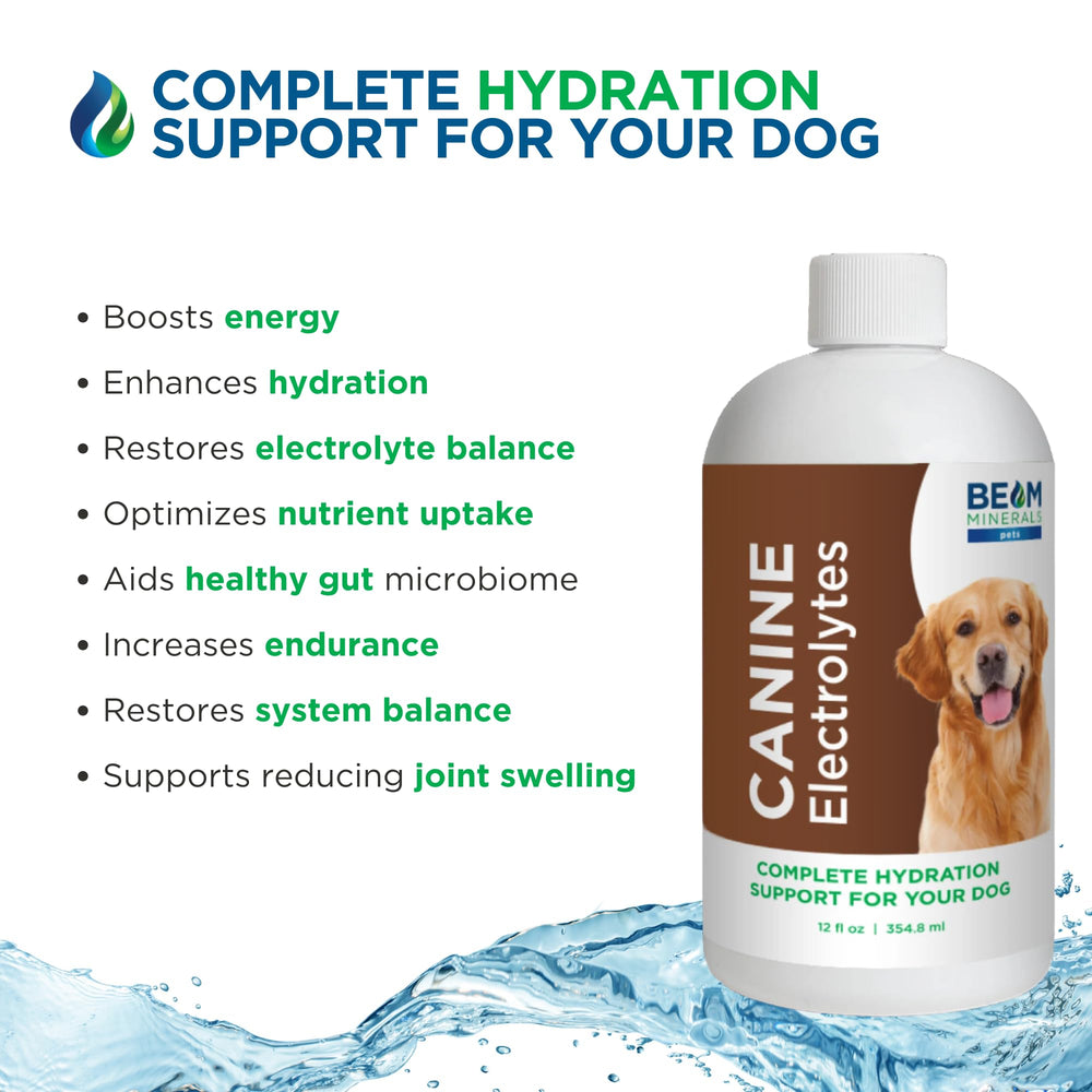 Beam Minerals Complete Canine Electrolytes depicted for digestive health support