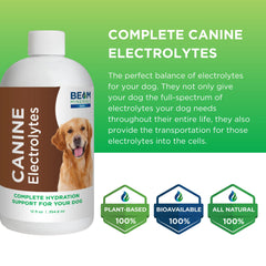 Beam Minerals Complete Canine Electrolytes shown with a dog during hydration