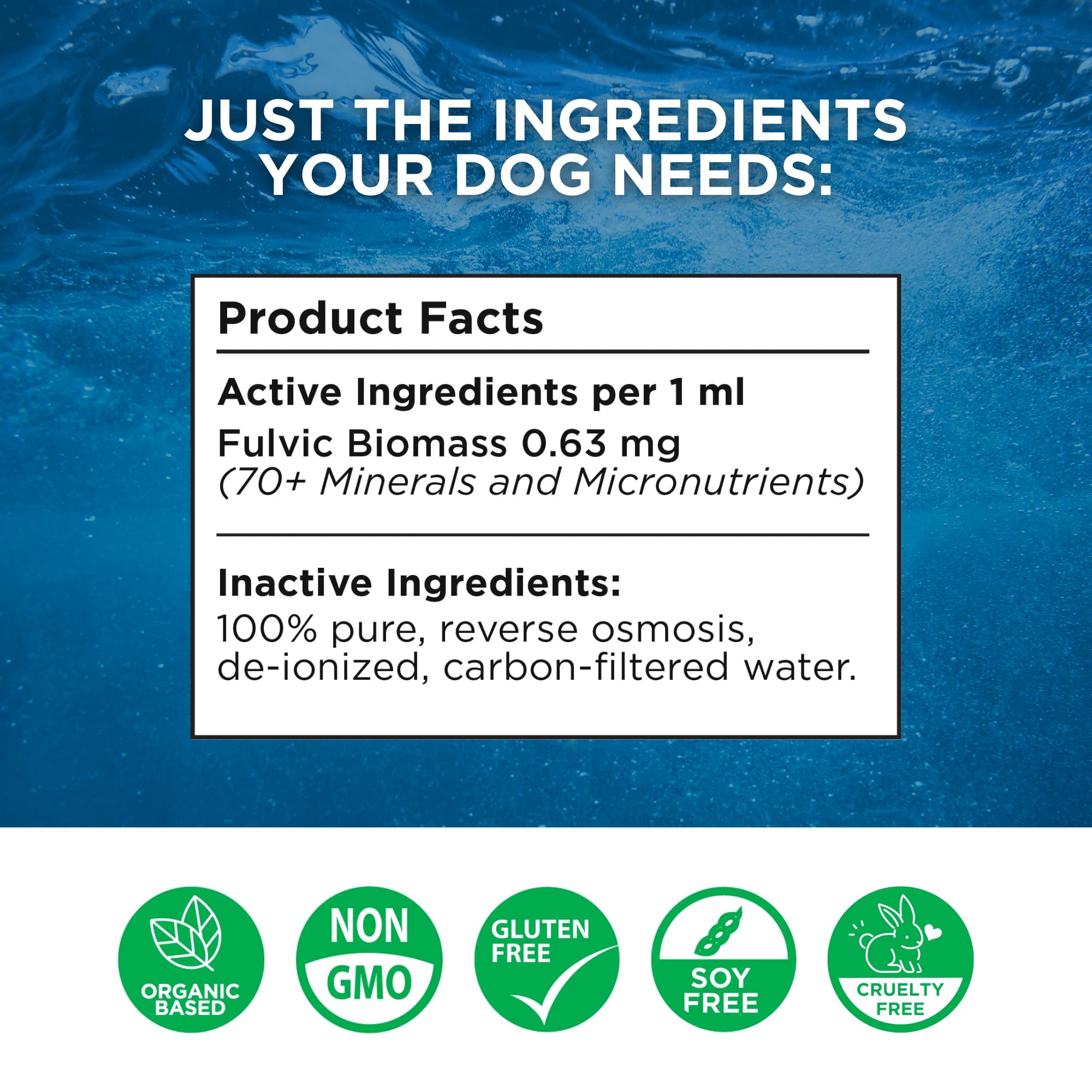 Beam Minerals Complete Canine Electrolytes label close-up highlighting a clean formula