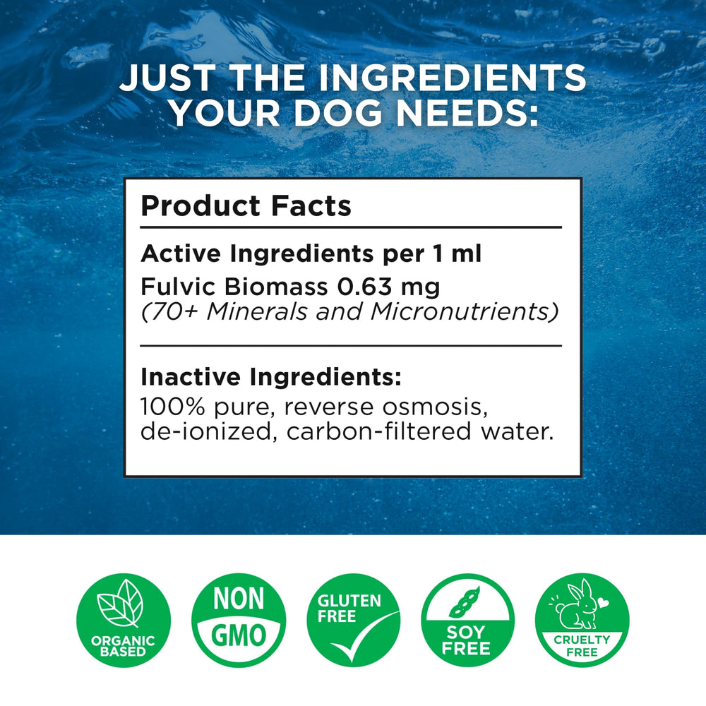 Beam Minerals Complete Canine Electrolytes label close-up highlighting a clean formula