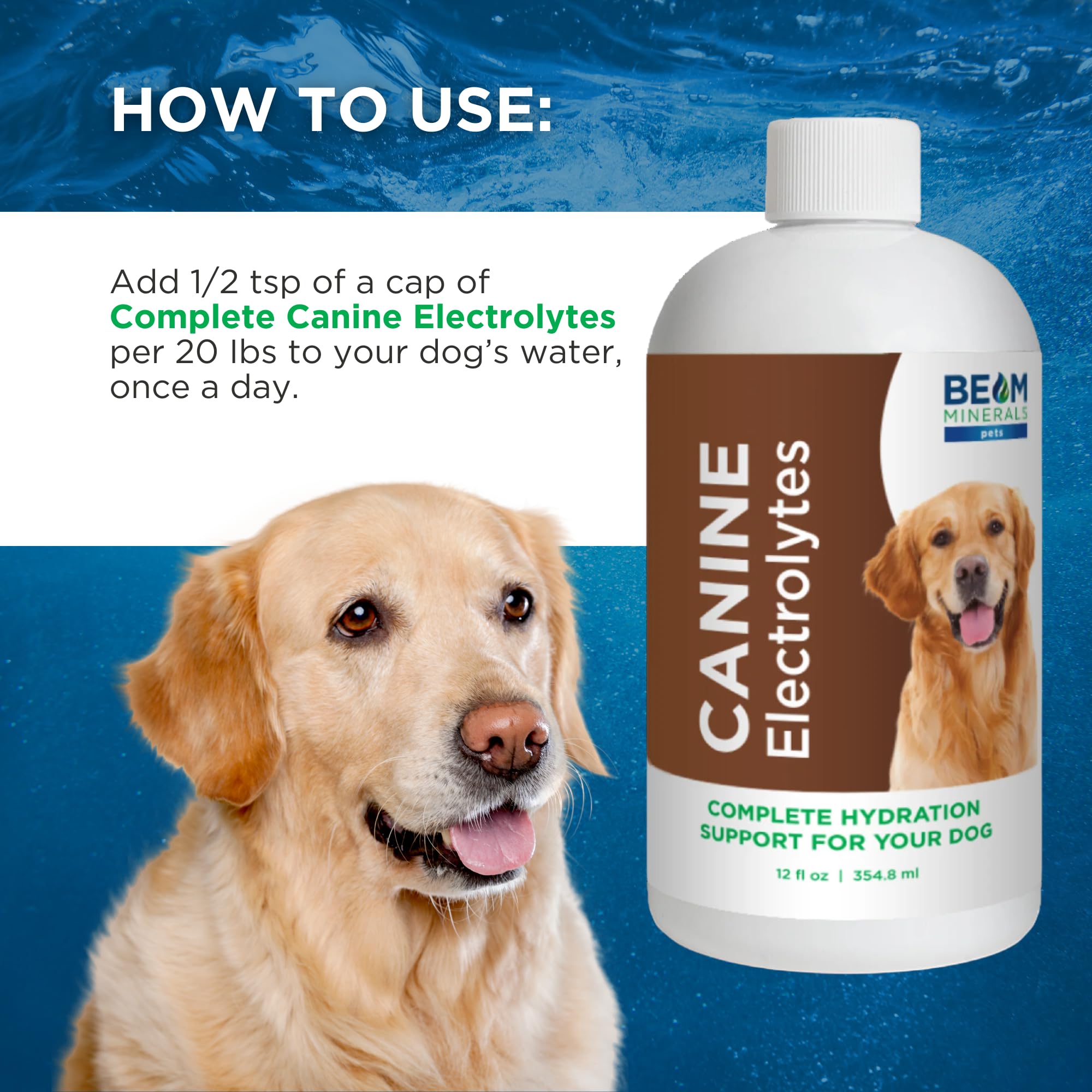 Beam Minerals Complete Canine Electrolytes illustrating recovery after activity or illness