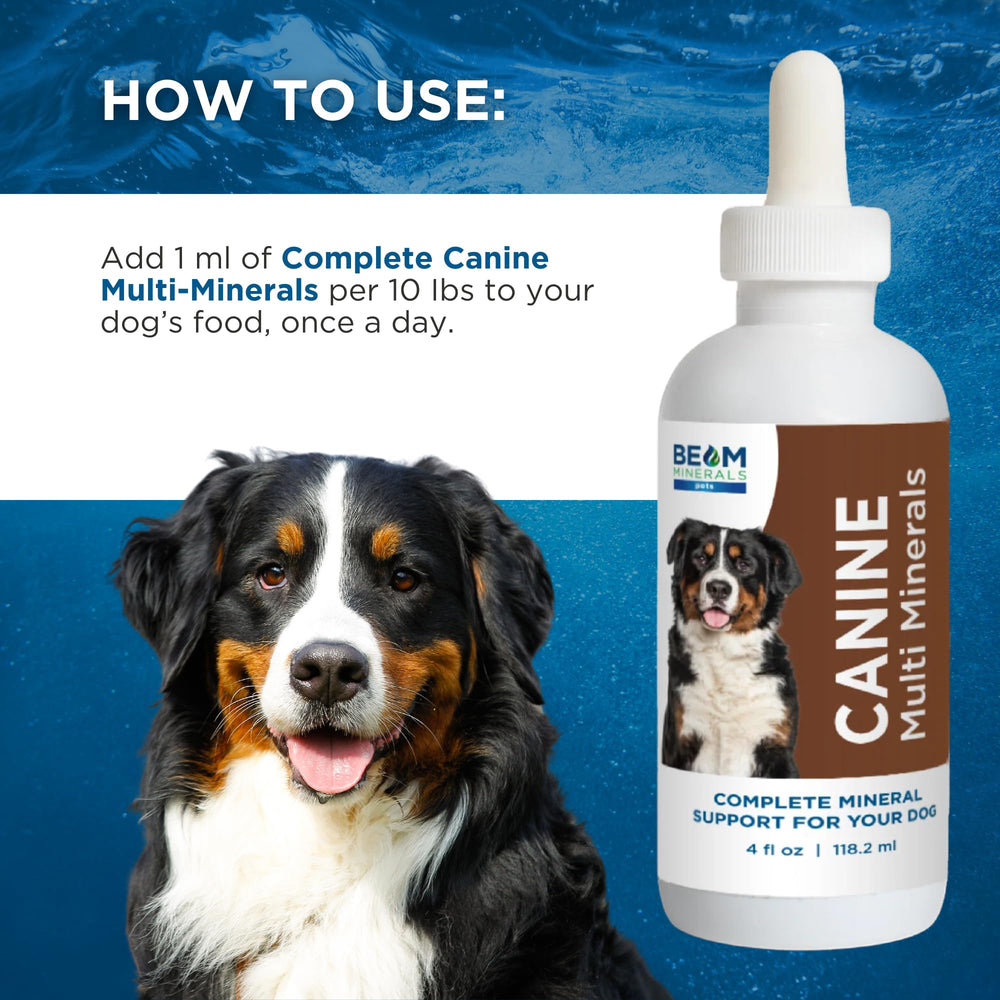 Beam Minerals daily-use bottle emphasizes habit-friendly care for canine health.