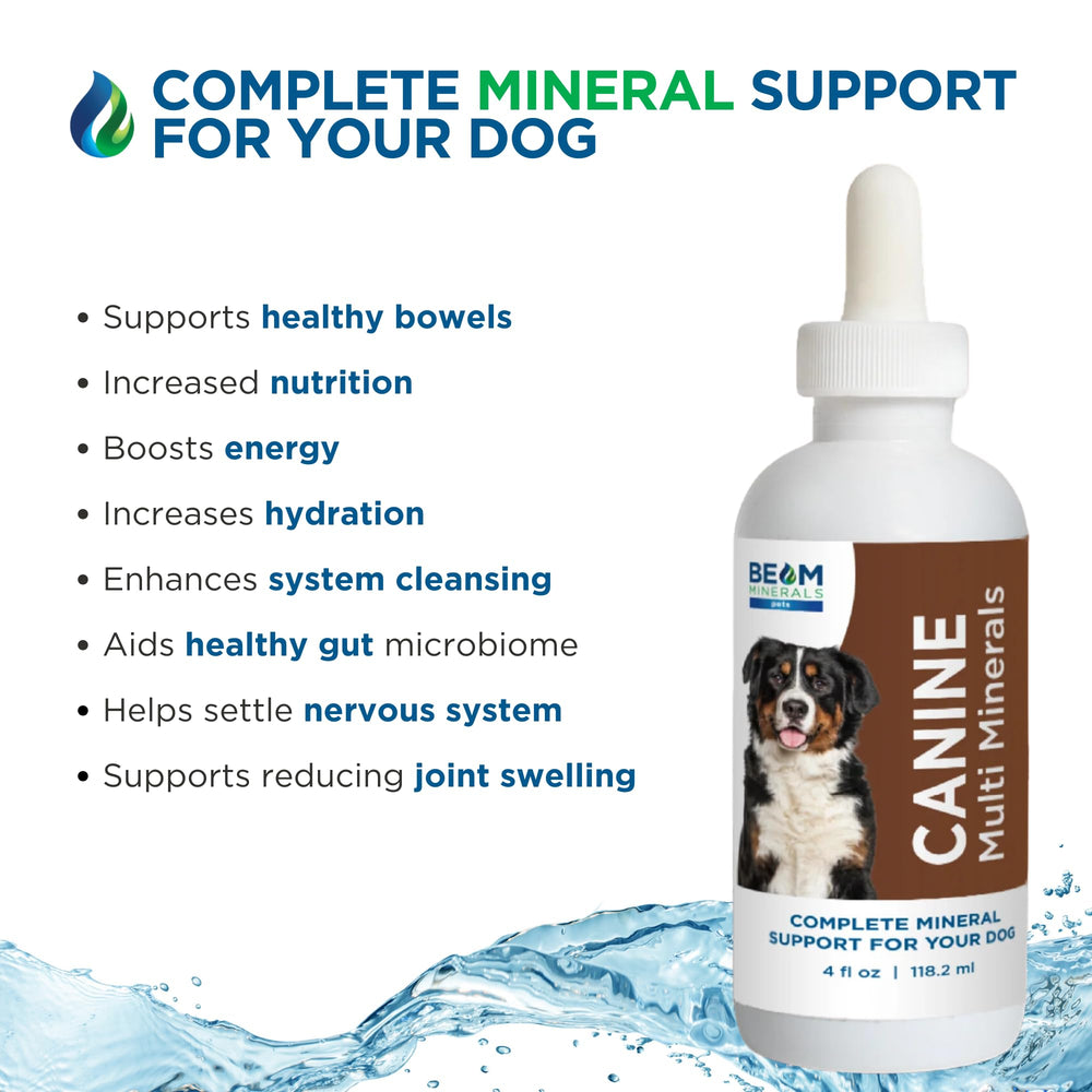 Beam Minerals dog owner holding bottle conveys routine supplement planning.