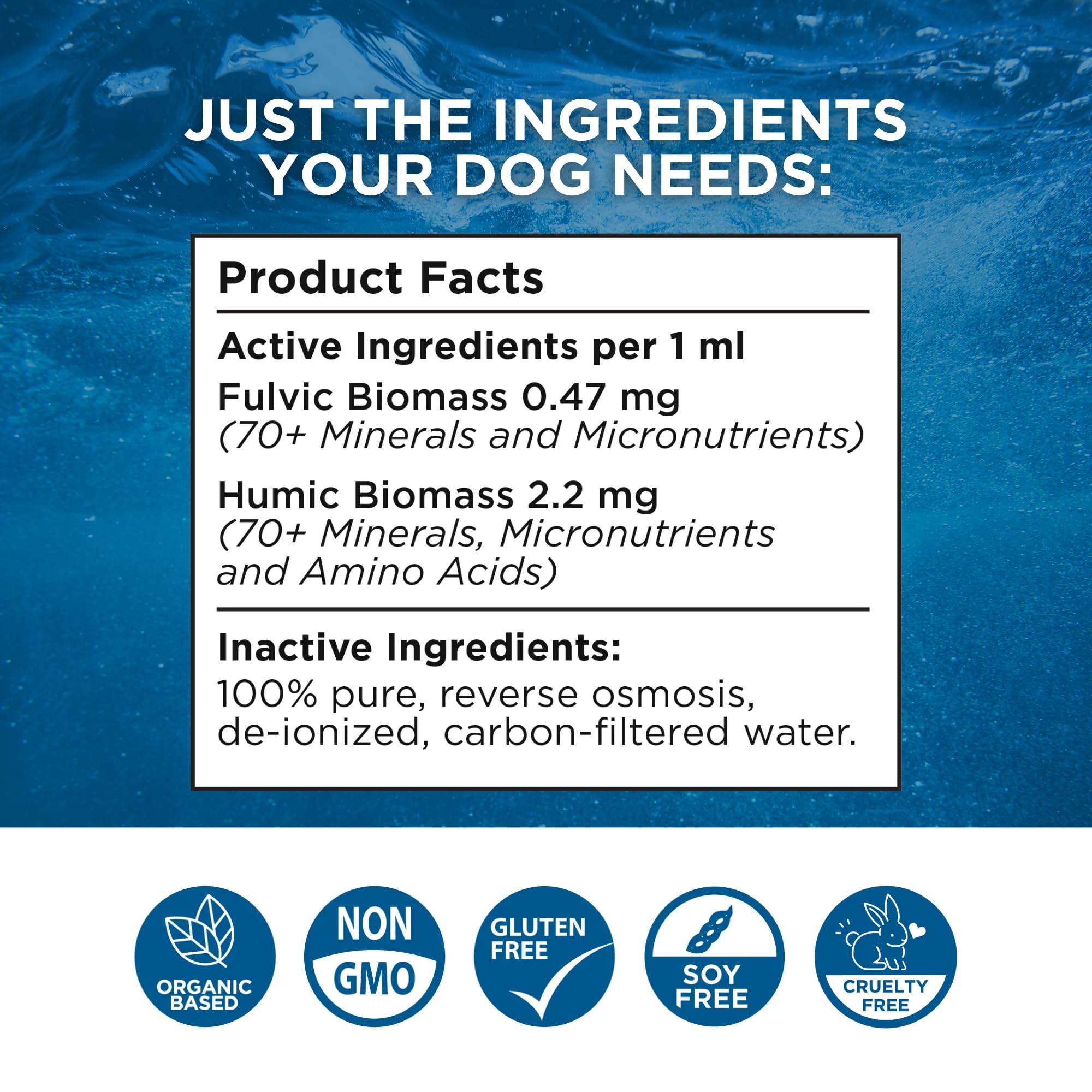 Beam Minerals label closeup highlights a clean, minimal formula with no artificial additives.