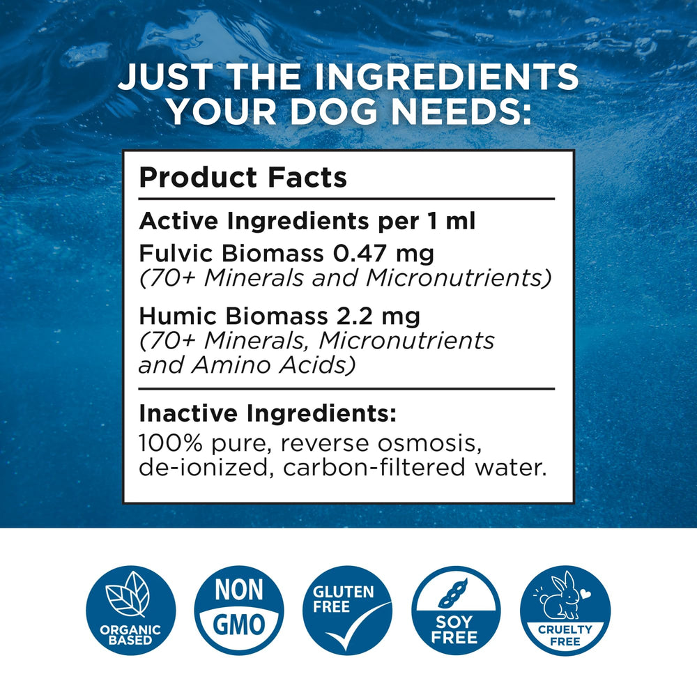 Beam Minerals label closeup highlights a clean, minimal formula with no artificial additives.