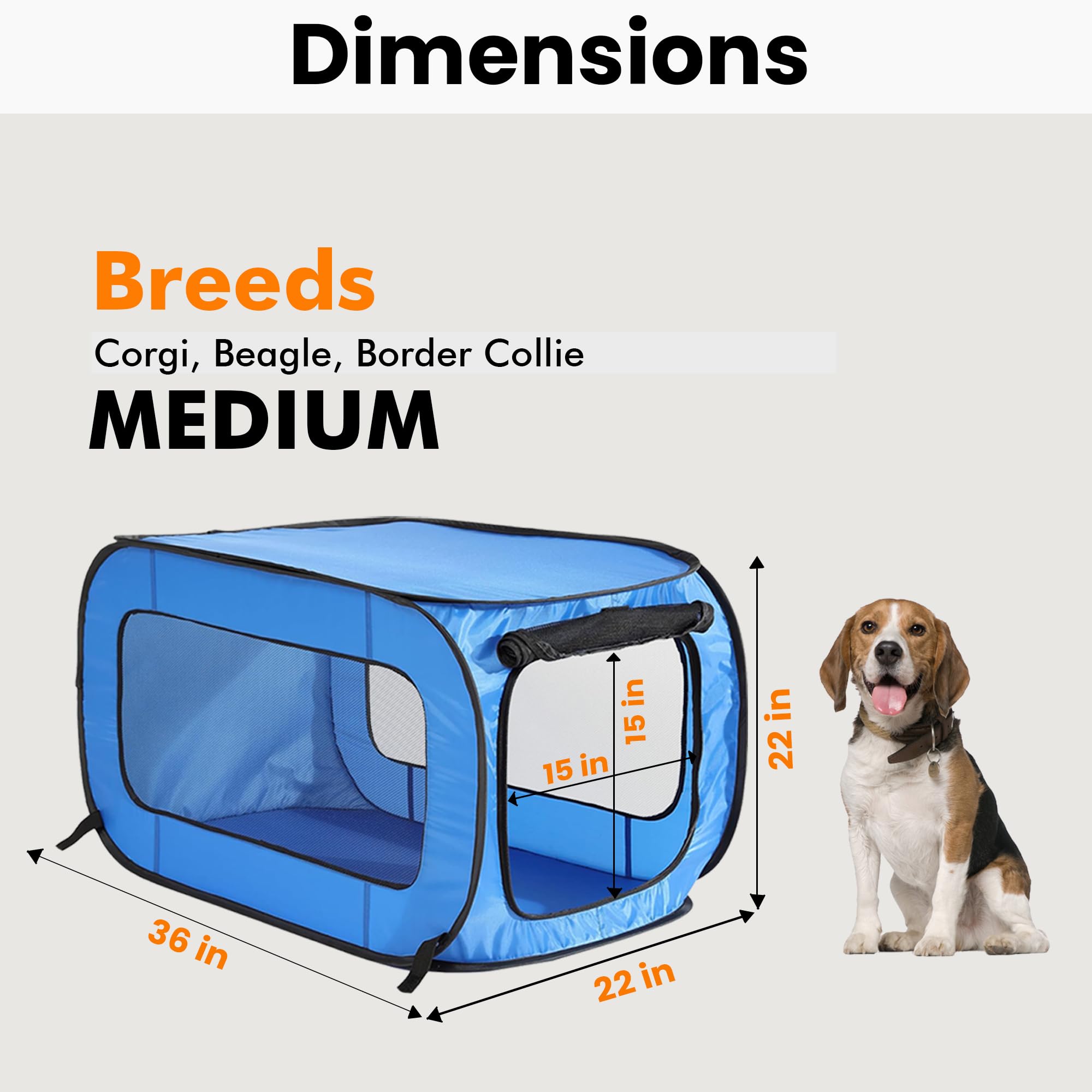 Beatrice kennel blue folded compact to fit in luggage.