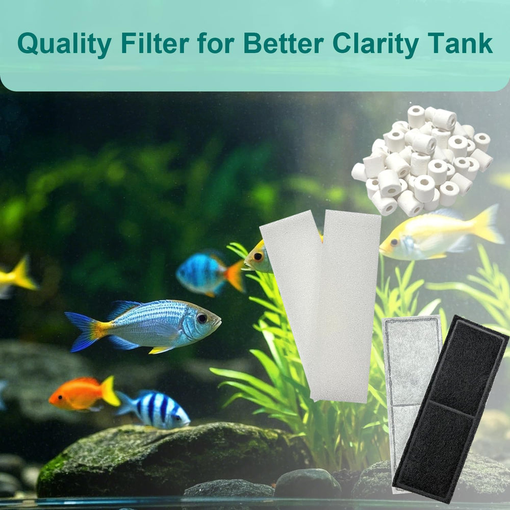 Beaufan cleaning and maintenance tips extend filtration performance