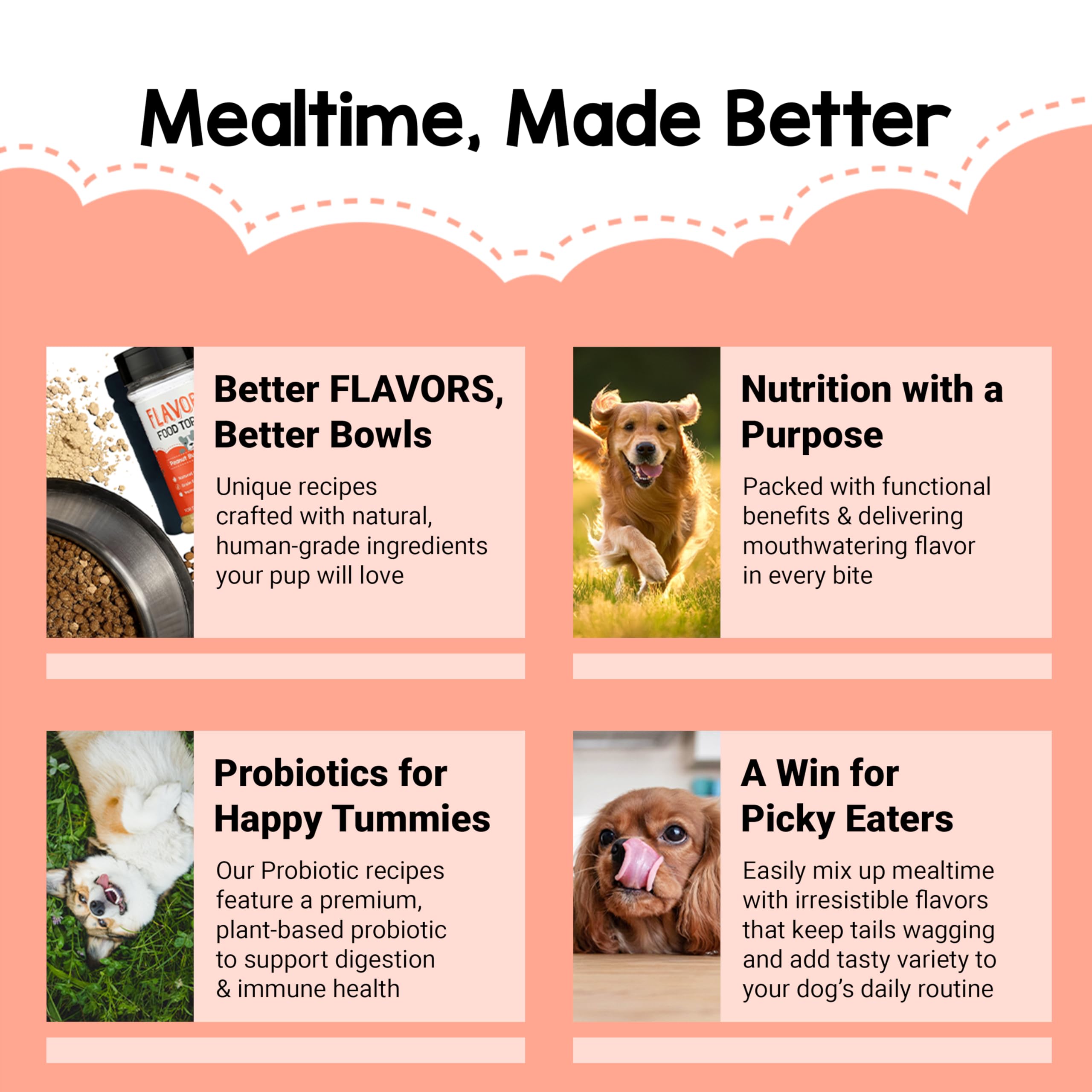 Beaumont Basics Flavors Simple Mix Topper blends easily with kibble.
