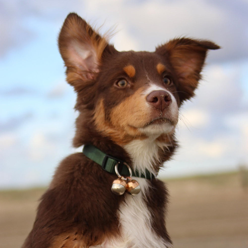 Beau's Bells copper detail highlights premium materials and durable clappers.
